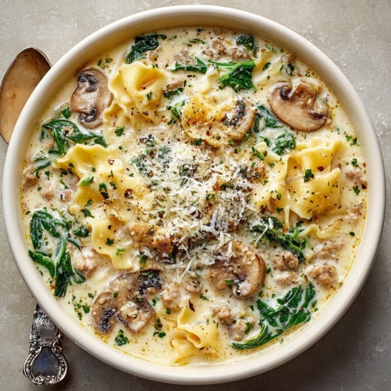 Quick White Lasagna Soup Recipe